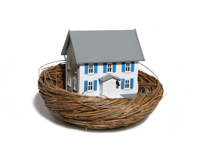 home nest egg equity