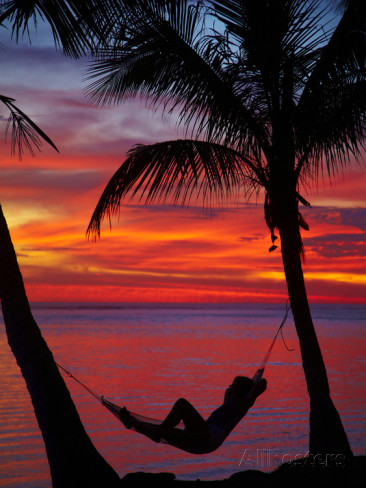 Fiji Hammock